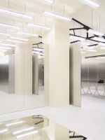 Dragonfly, for Acne Studios store, Potsdamer Straße 87, Berlin