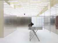 Dragonfly, for Acne Studios store, Potsdamer Straße 87, Berlin