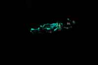 Nocturama, MUSAC, Leon
