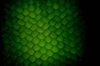 Phosphorescence